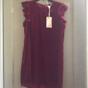 Chelsea & Violet deep red velvet dress